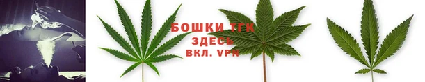 крисы Ладушкин