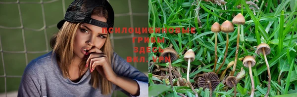 мдма Лагань