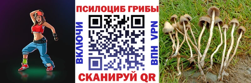 Псилоцибиновые грибы прущие грибы  Купить  Калтан 